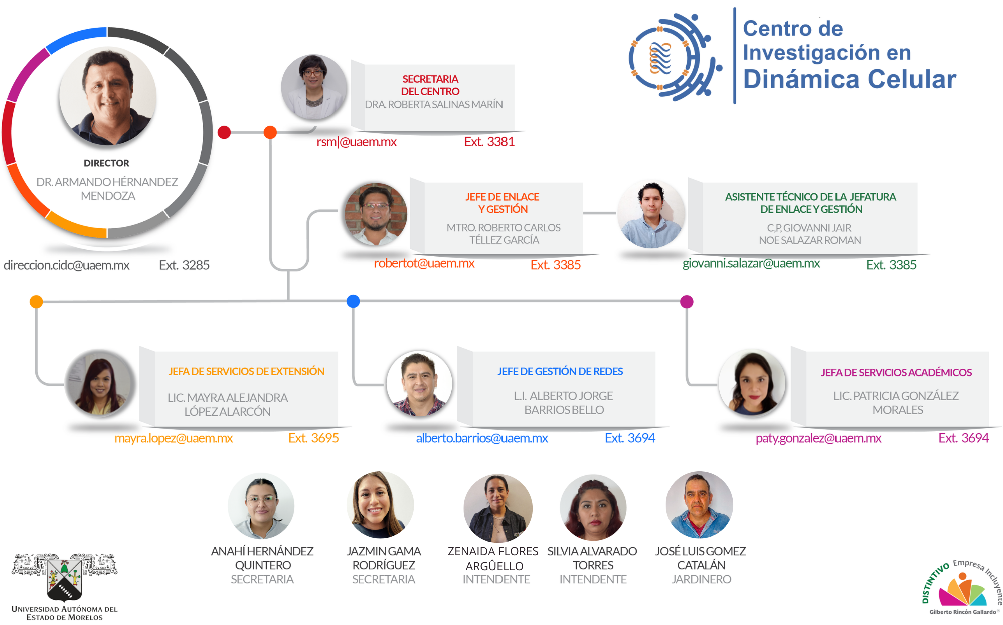 Organigrama administrativo del CIDC, 2026